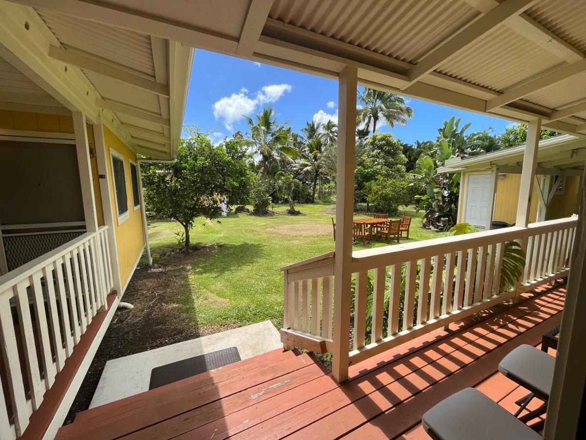 Aaron'S Cottage هيلو المظهر الخارجي الصورة